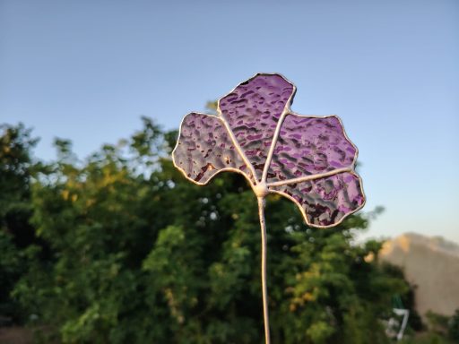 Gingko violet